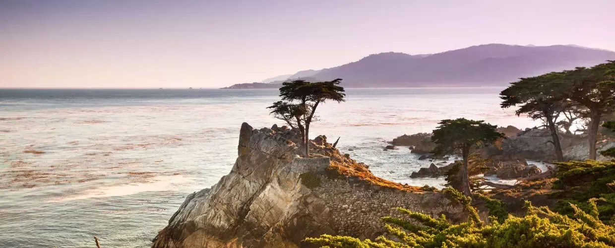 lone cypress tree is pictured on peninsula surrounded by Pacific Ocean and coastal foliage.